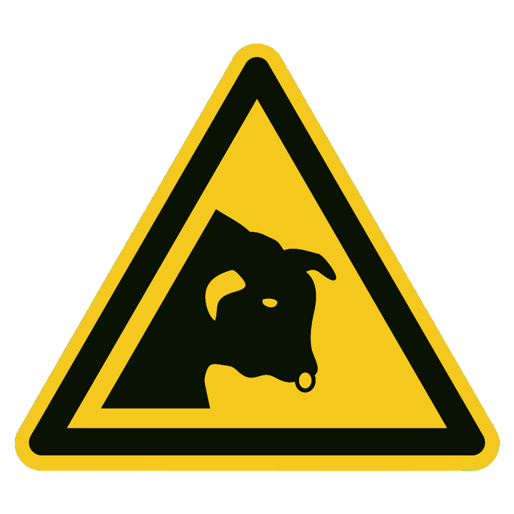 Loslopende stieren / vee