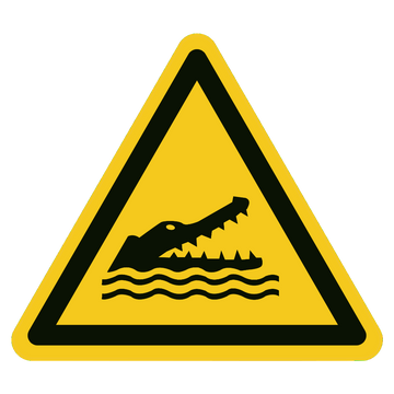 w067-krokodillen-alligators