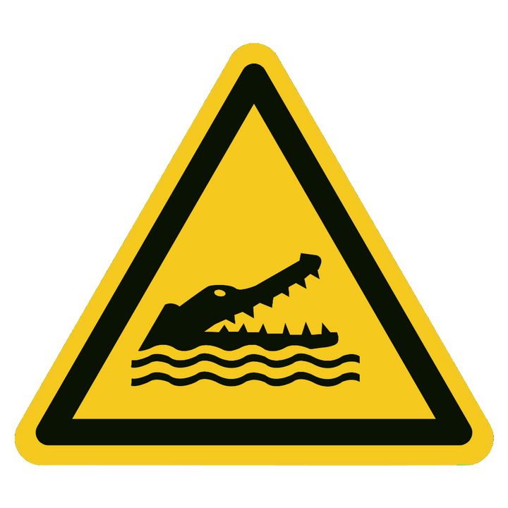 Krokodillen / alligators